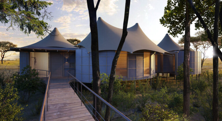 Best Luxury African Safari: Ultimate Guide to Exclusive Wildlife Adventures