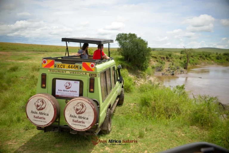 Best Luxury Safari Companies: Explore the Top Providers for Exclusive Safari Experiences