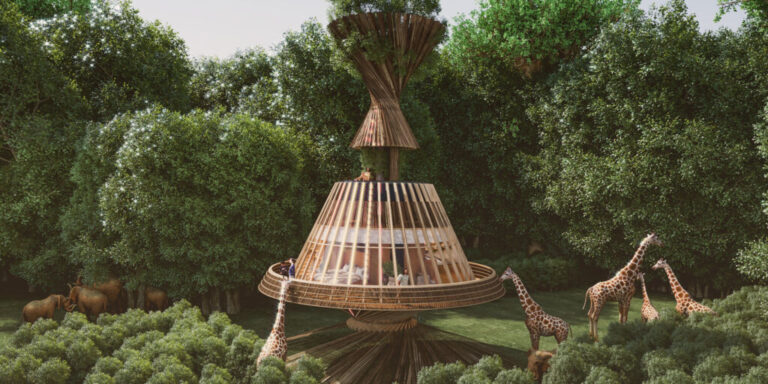 African Safari Luxury Tours – The Ultimate Guide to Exclusive Wildlife Adventures