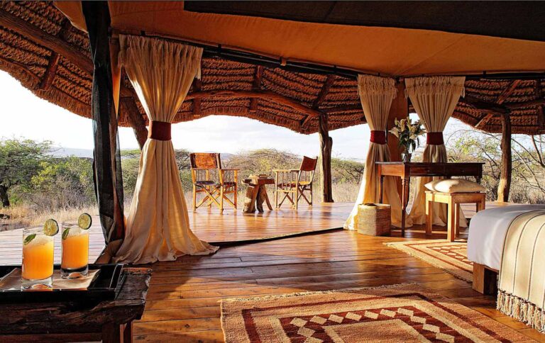 Luxury Family Safari Holidays – The Ultimate Guide to Exclusive Wildlife Adventures
